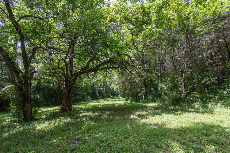 Listing Image 57