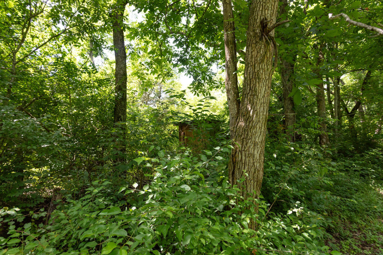 Listing Image 59