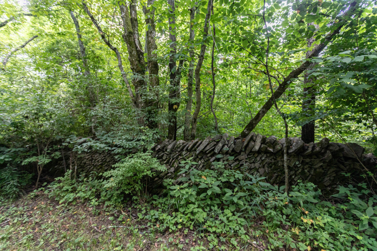Listing Image 60