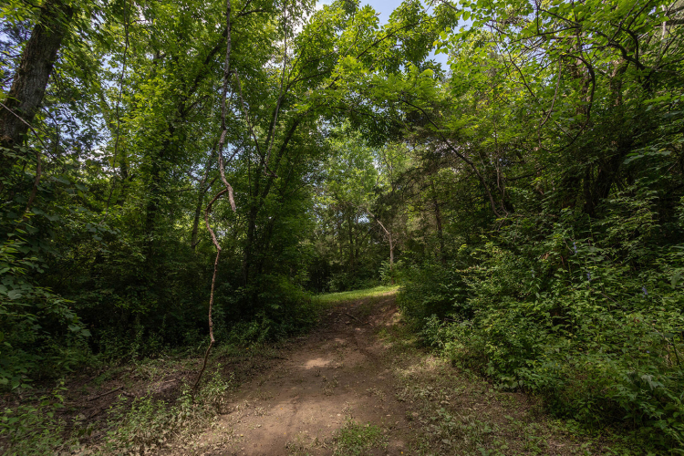 Listing Image 61