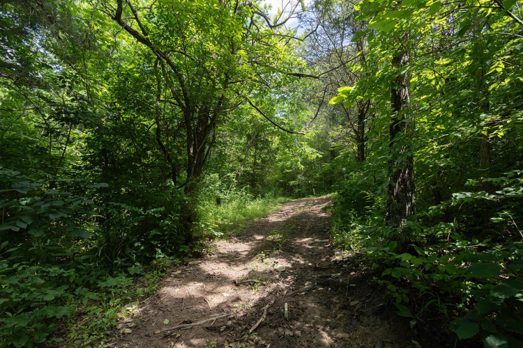 Listing Image 62