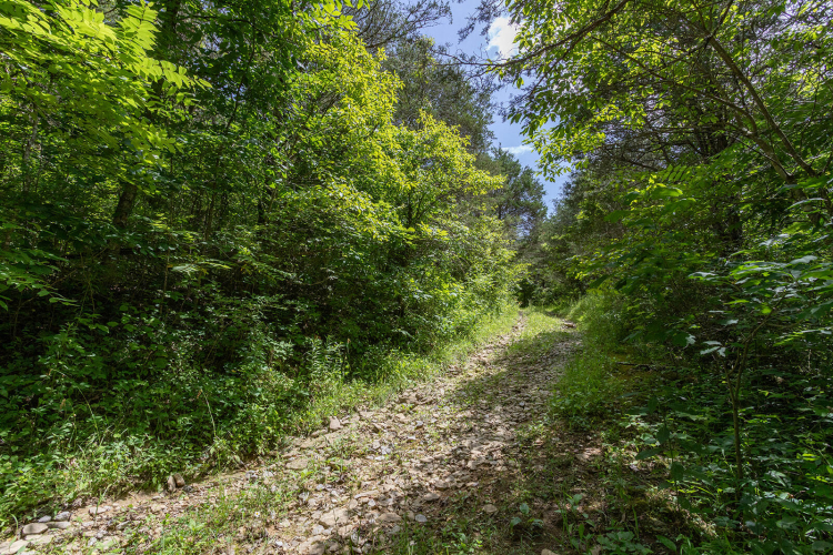 Listing Image 63