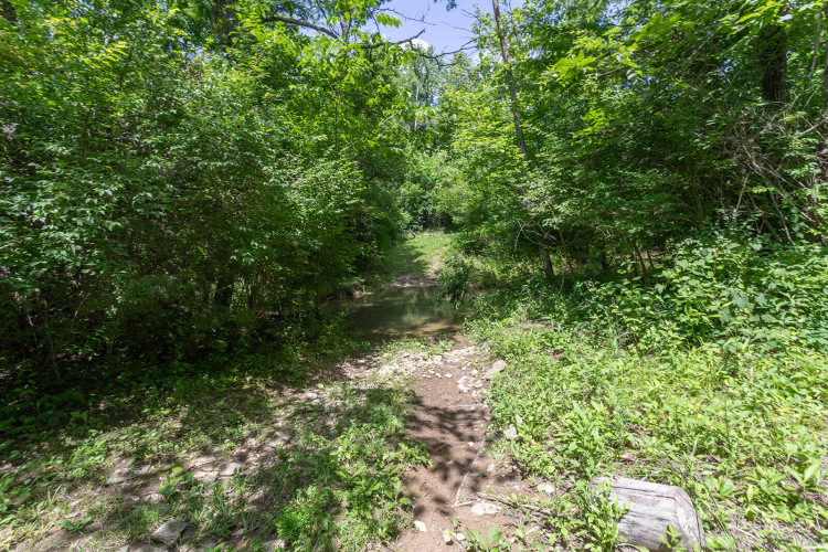 Listing Image 64