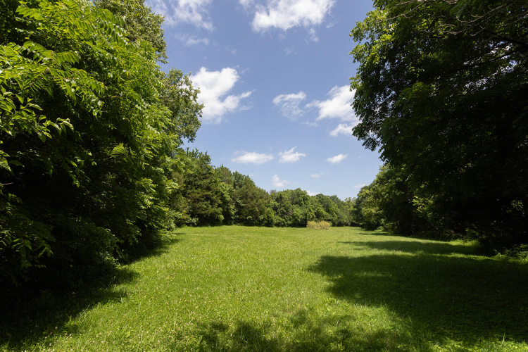 Listing Image 65