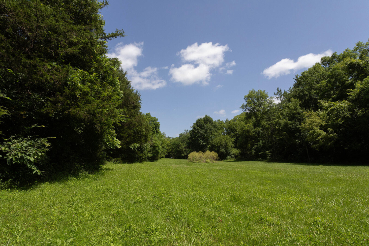 Listing Image 66