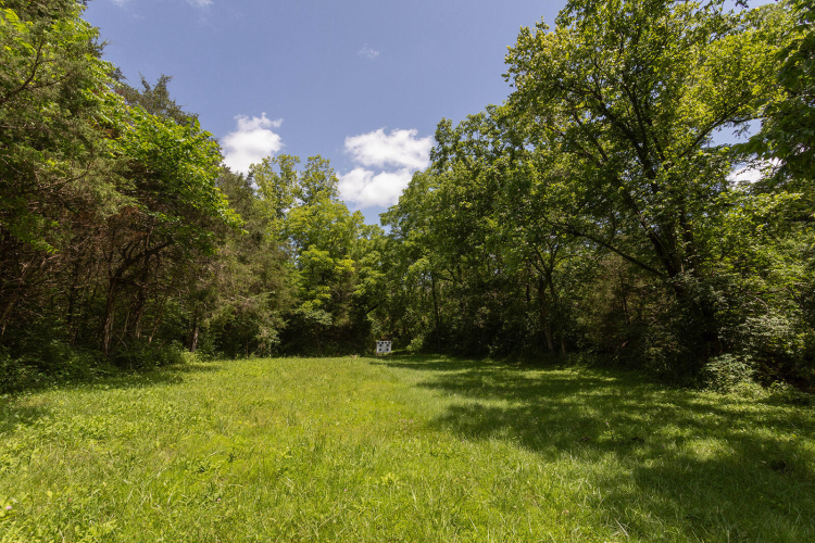 Listing Image 67