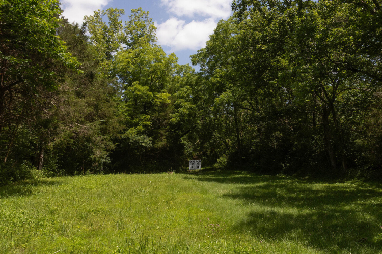 Listing Image 68