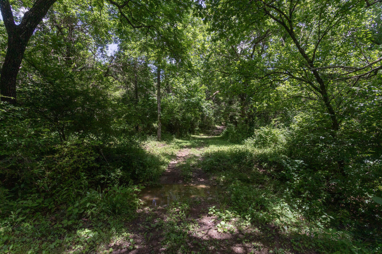 Listing Image 69