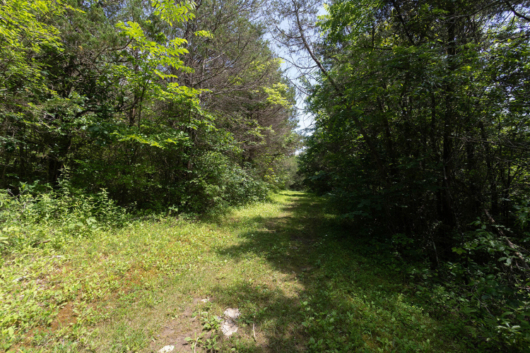 Listing Image 70