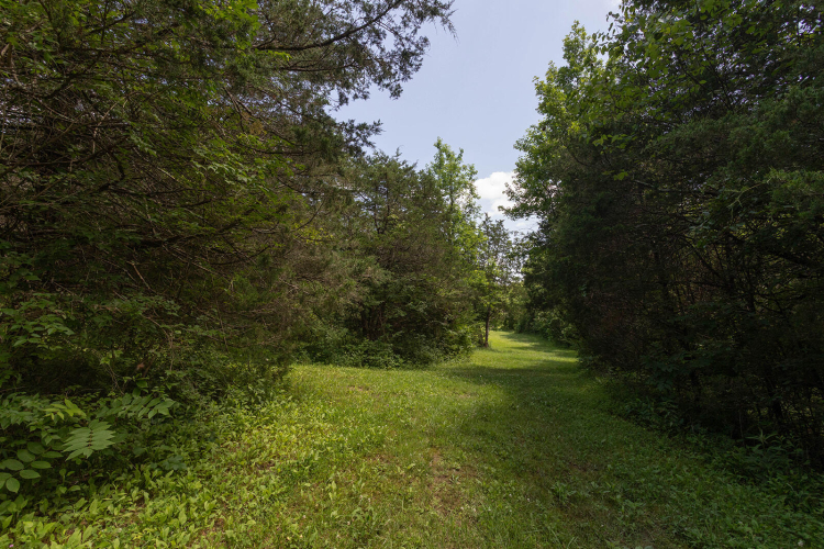 Listing Image 71