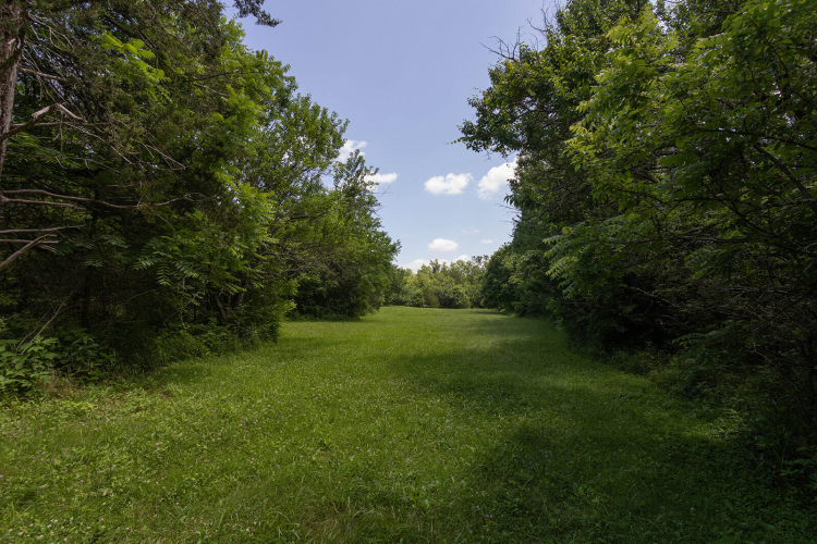 Listing Image 72