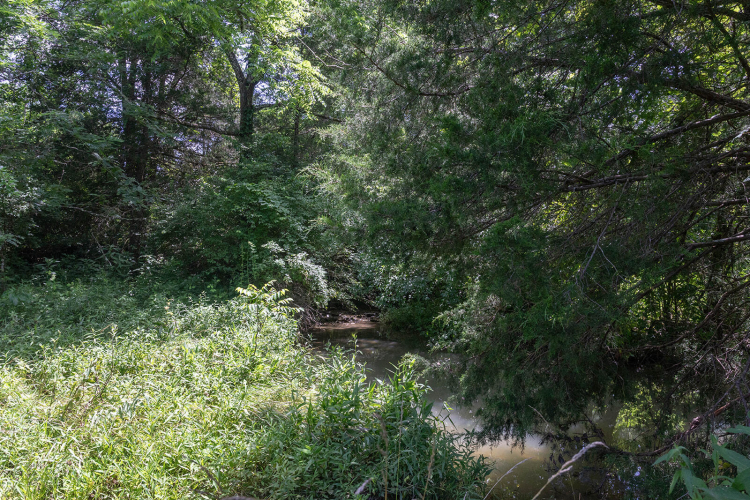 Listing Image 73