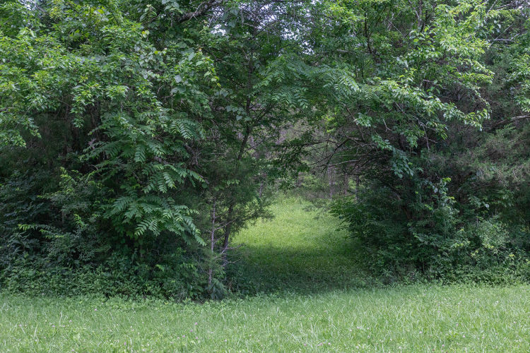 Listing Image 74