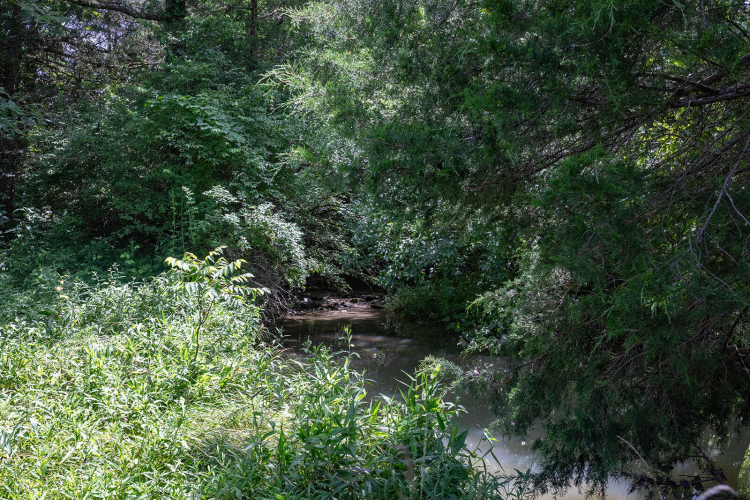 Listing Image 75