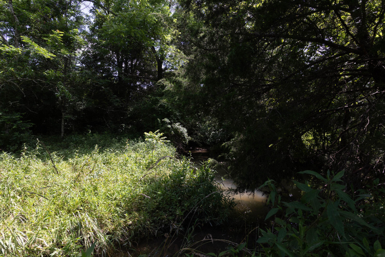 Listing Image 76