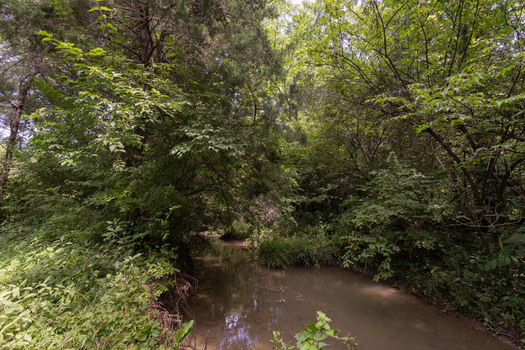 Listing Image 77