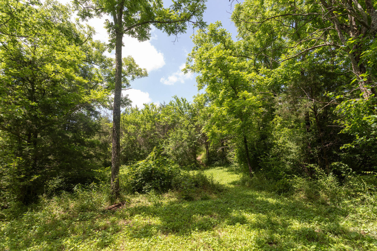 Listing Image 78