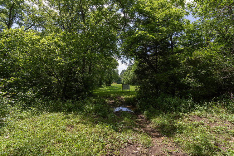 Listing Image 80