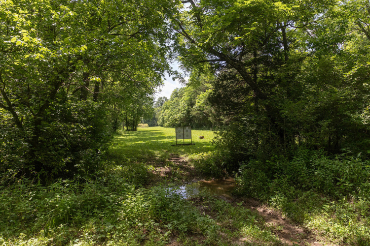 Listing Image 81