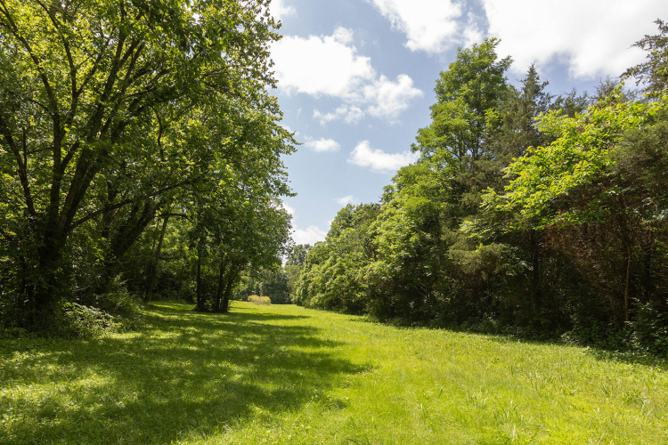 Listing Image 82