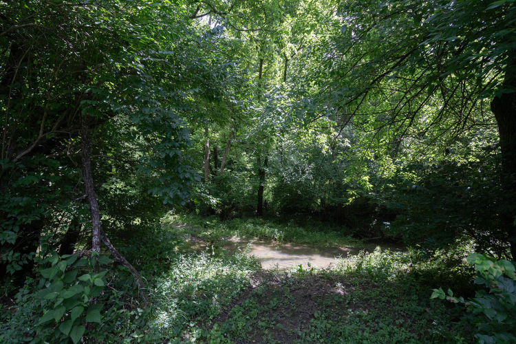 Listing Image 83