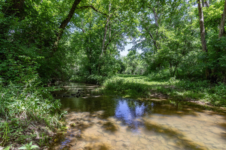 Listing Image 84