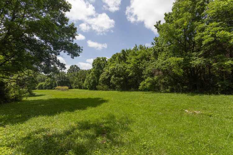 Listing Image 85