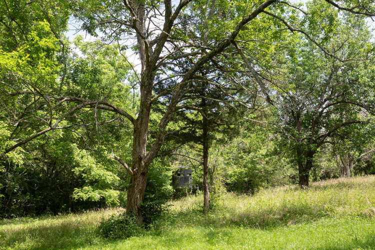 Listing Image 87