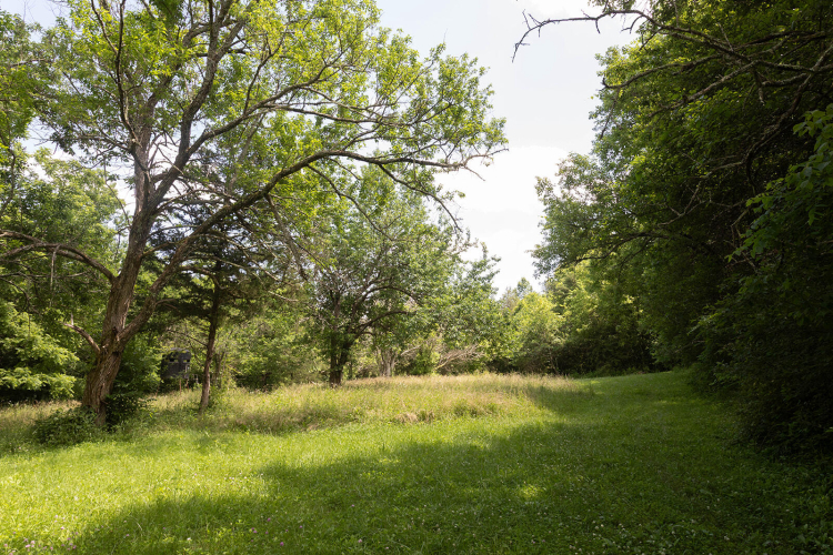 Listing Image 88