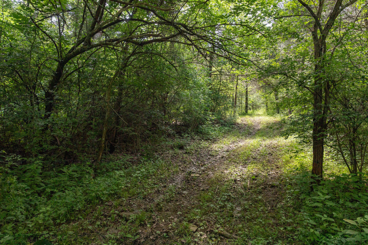 Listing Image 89