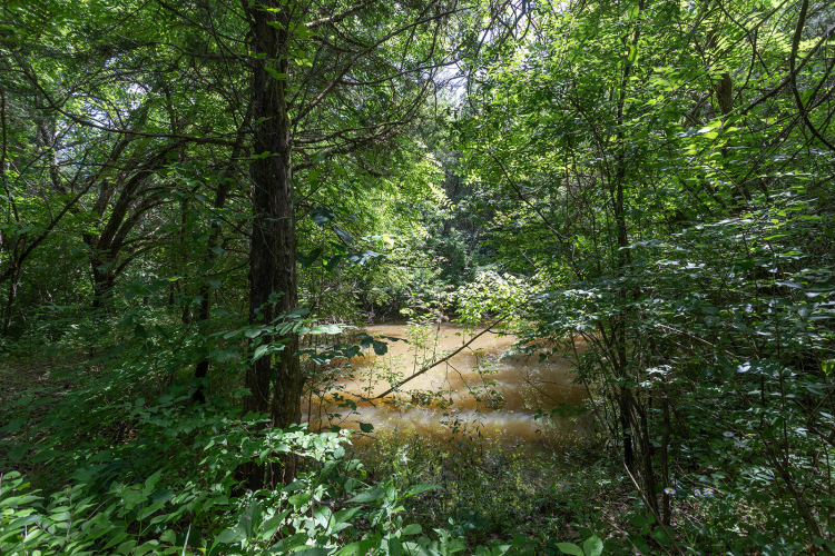 Listing Image 90