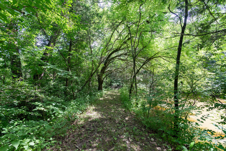 Listing Image 91