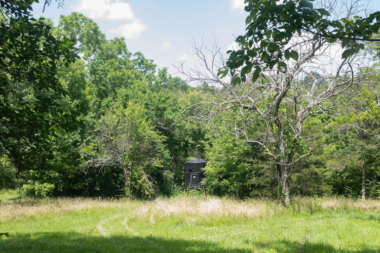 Listing Image 94