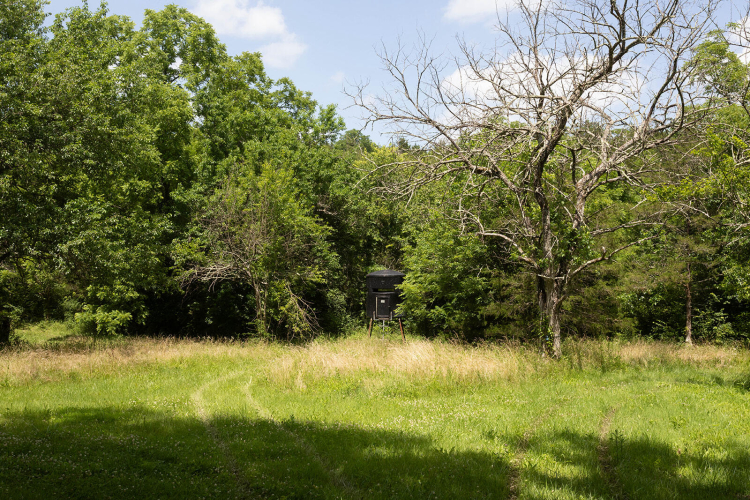 Listing Image 95
