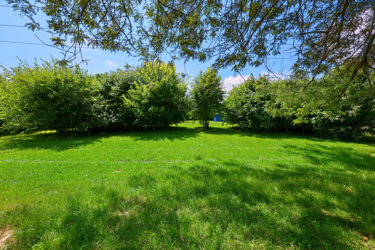 Listing Image 26