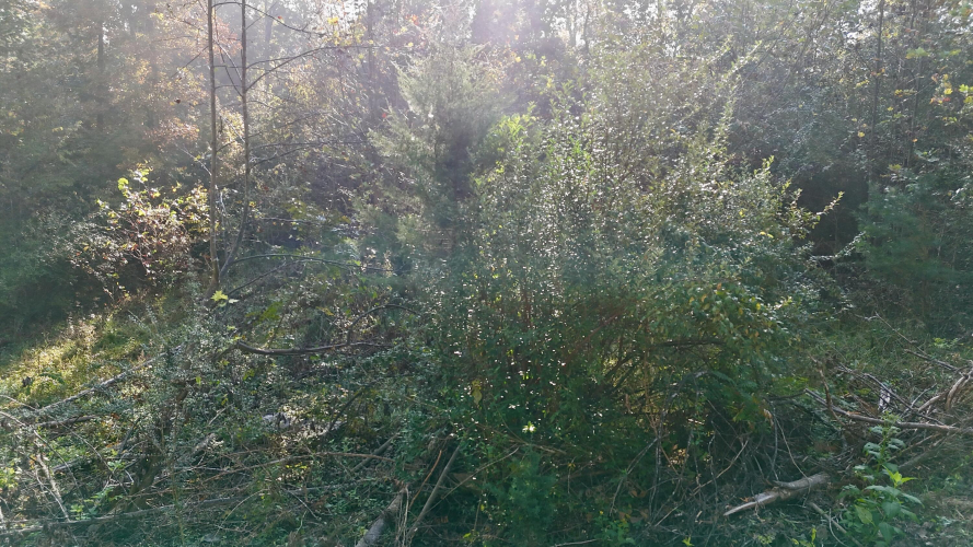 Lot 128 UN 1 Lakeview Drive Burnside KY 42519 (House For Sale) | MLS ...