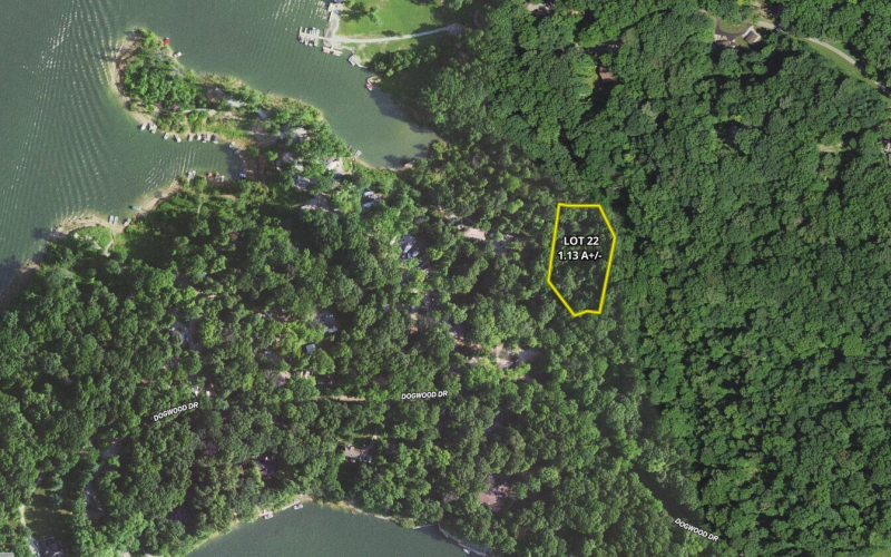 Listing Image 4