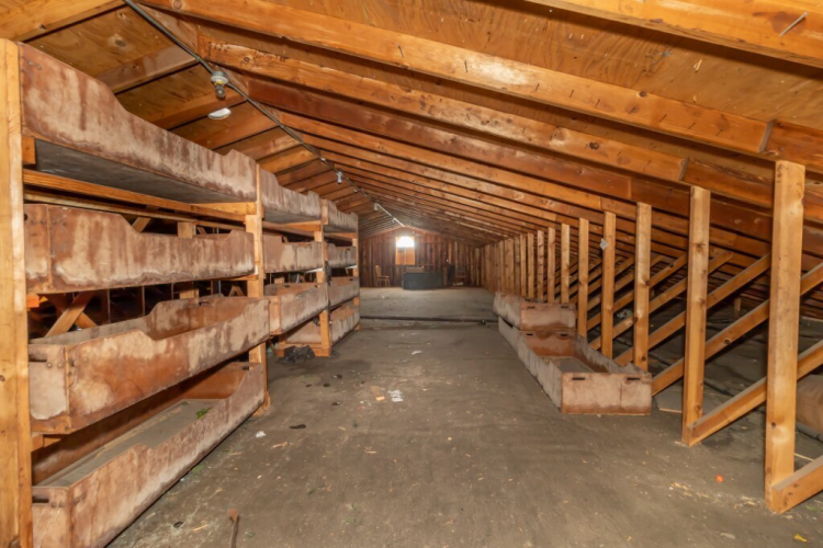 Listing Image 22