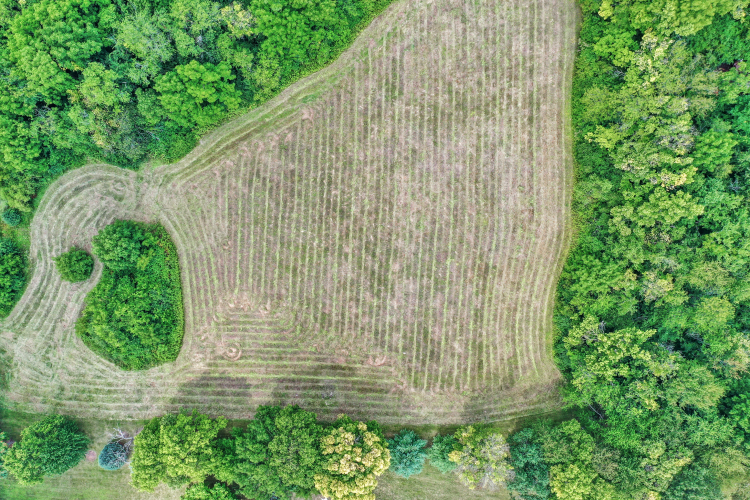 Listing Image 17