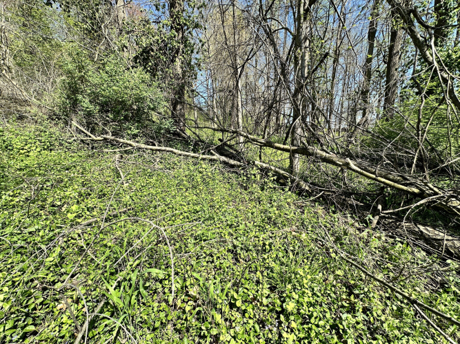 Listing Image 5