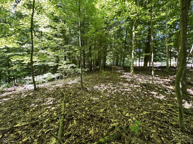 Listing Image 17
