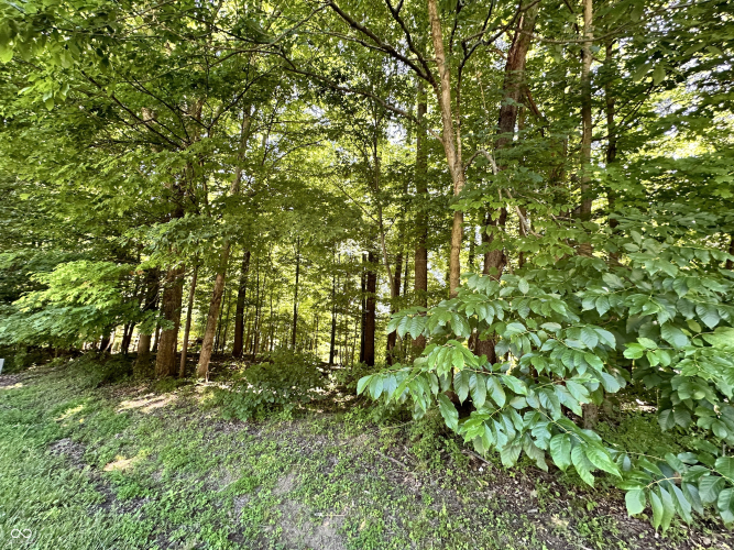 Listing Image 23