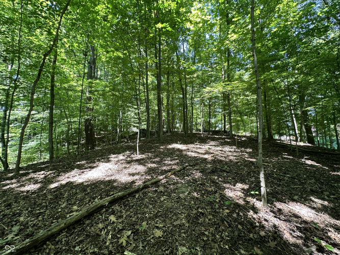 Listing Image 24