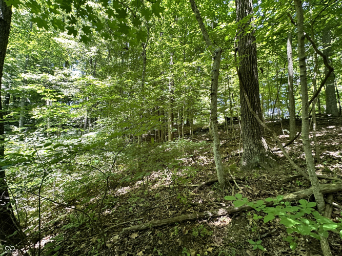 Listing Image 25