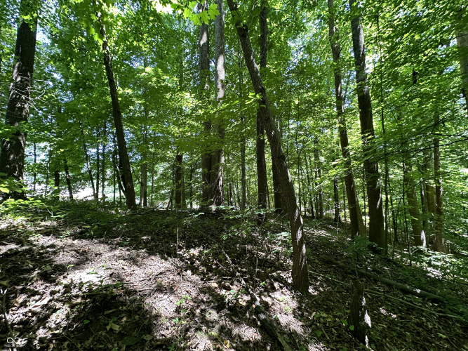 Listing Image 27