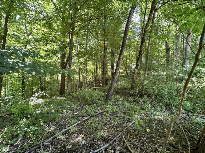Listing Image 29