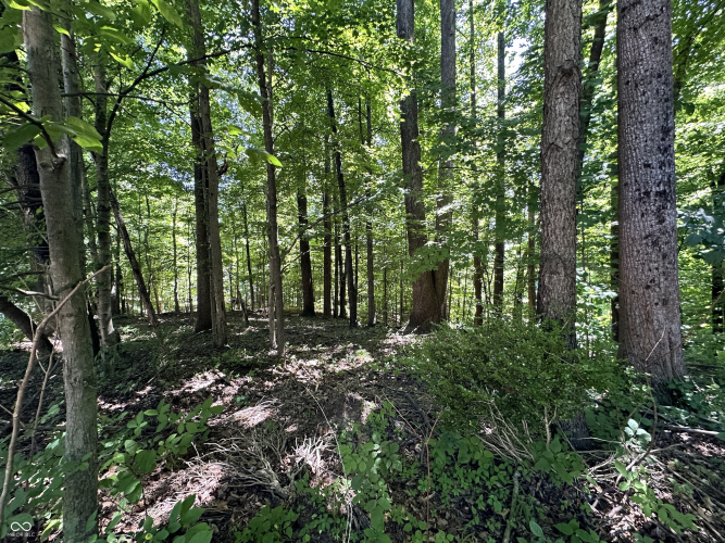 Listing Image 30