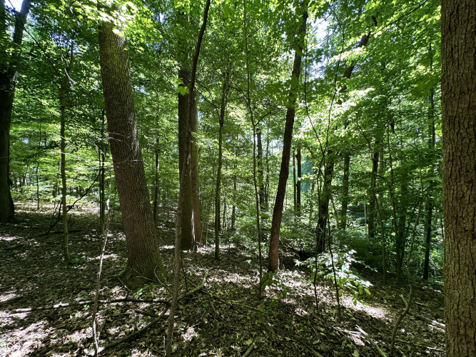 Listing Image 32