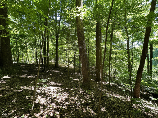 Listing Image 33