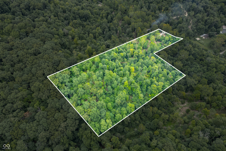 Listing Image 10